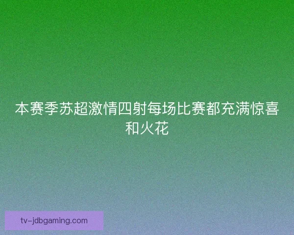本赛季苏超激情四射每场比赛都充满惊喜和火花